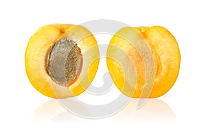 Apricot Cut in Half
