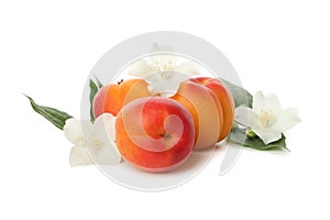 Apricot and flowers isolated on background