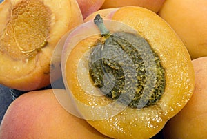 Apricot fruit