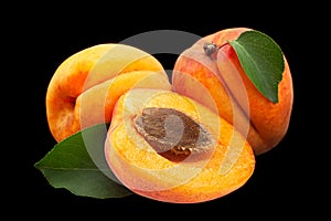 Apricot fruit closeup