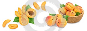 apricot fruit with half and slices isolated on white background. Top view. Flat lay