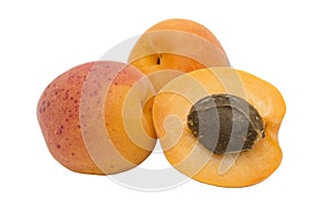 Apricot Fruit