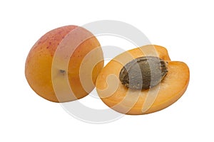 Apricot Fruit