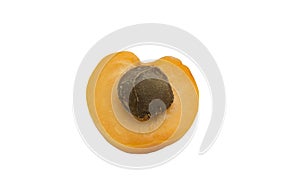 Apricot Fruit