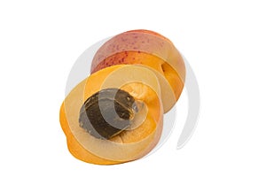 Apricot Fruit