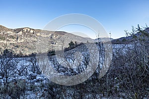 Apricot fruit trees in the Baronnies at winter, in an area just to the north of Provence, Drome Provencale part of the Rhone-Alpes