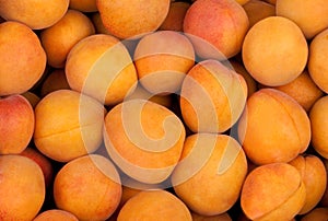 Apricot fruits