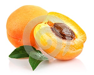 Apricot fruits with green leaf