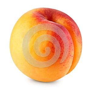 Apricot