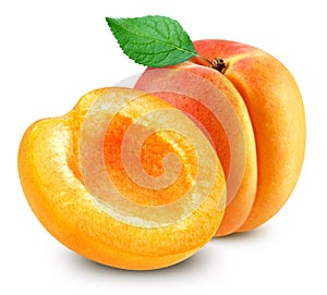 Apricot fruits isolated