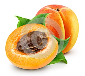 Apricot isolated Clipping Path photo