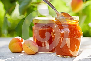 Apricot jam in glass jars with fresh fruit