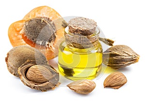 Apricot kernel oil and apricot kernels isolated on the white background