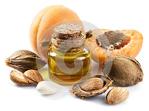 Apricot kernel oil and apricot kernels isolated on the white background