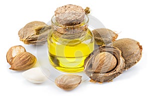 Apricot kernel oil and apricot kernels isolated on the white background