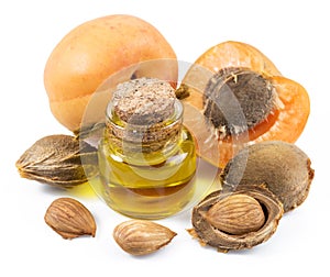 Apricot kernel oil and apricot kernels isolated on the white background