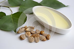 Apricot kernel oil with apricot kernels on white table