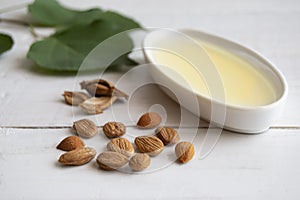 Apricot kernel oil with apricot kernels on white wooden table