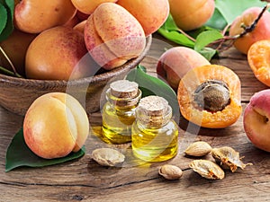 Apricot kernel oil and apricot kernels on wooden background