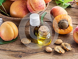 Apricot kernel oil and apricot kernels on wooden background