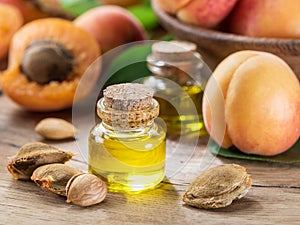 Apricot kernel oil and apricot kernels on wooden background