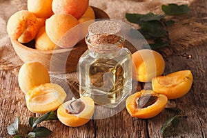 apricot kernel oil in a glass jar closeup and ingredients. Horizontal