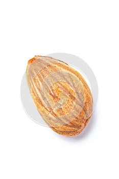 Apricot kernel  on white background