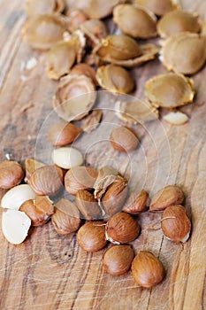 Apricot kernels photo