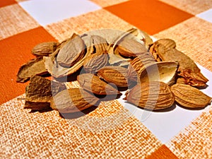 Apricot kernels and shells on tablecloth