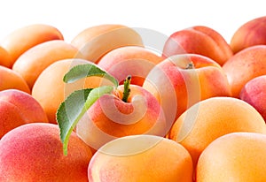 Apricot with leaf. Apricot background.