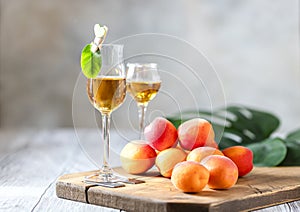 Apricot liqueur in shot glass and fresh apricots on a light wooden table