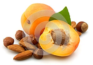 Apricot with nuts