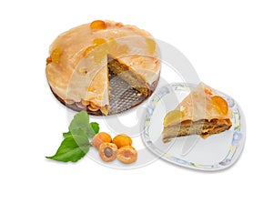 Apricot pie, piece of pie on plate, several fresh apricots