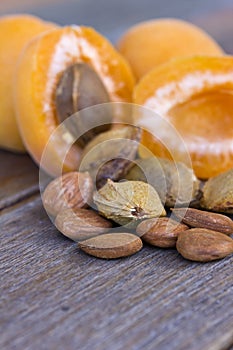 Apricot pips and kernels with fruit in background photo