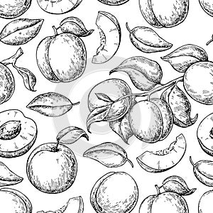 Apricot seamless pattern. Vector drawing. Hand drawn fruit