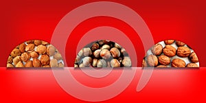 Apricot stones, hazelnuts and walnuts inside three semicircles