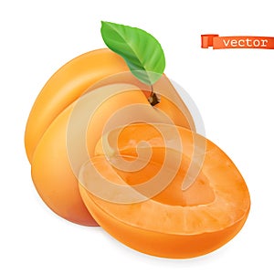 Apricot vectorized image. Fresh fruit. 3d realistic vector icon photo