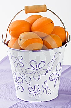 Apricot in white bucket