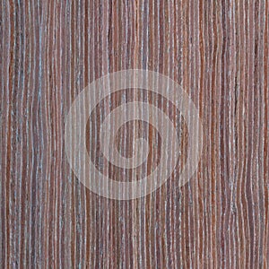 Apricot wood texture