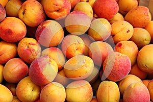 Apricots