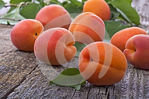 Apricots