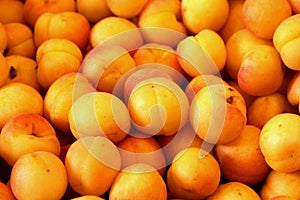 Apricots