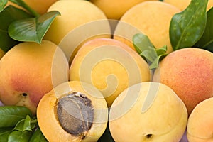 Apricots