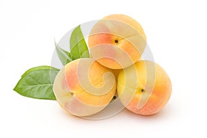 Apricots