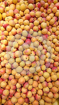 Apricots bulk