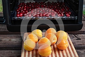 Apricots, cherries, and a dehydration machine