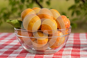 Apricots