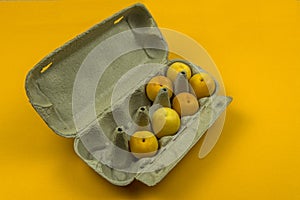 Apricots are in the egg Box on a yellow background.