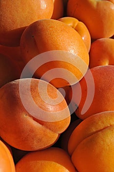 Apricots at a farmers' market