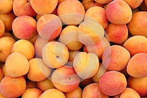 Apricots